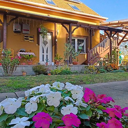 Hotel Holt-Tisza Vendeghaz Szeged Esterno foto