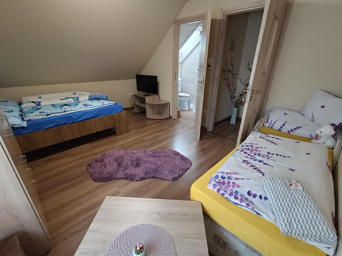 Hotel Holt-Tisza Vendeghaz Szeged Esterno foto