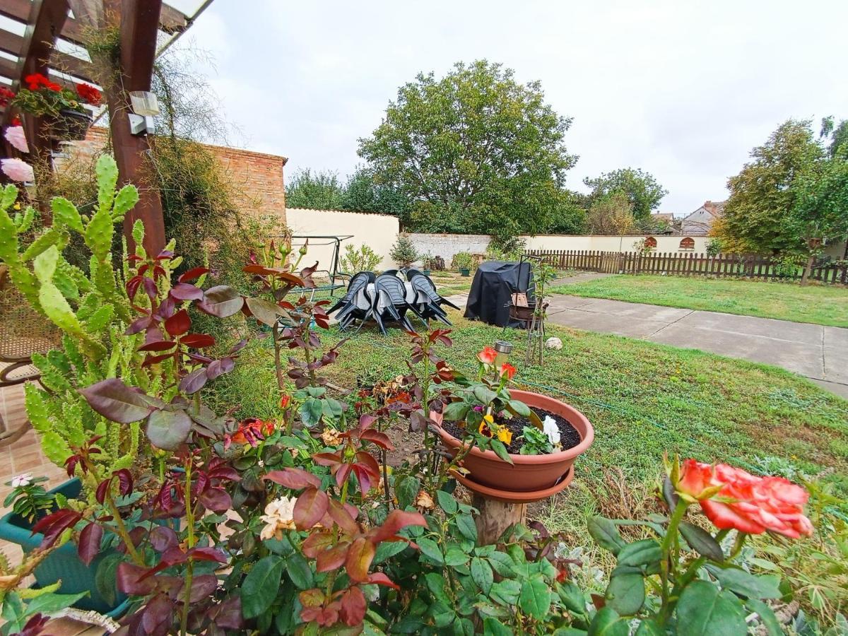 Hotel Holt-Tisza Vendeghaz Szeged Esterno foto
