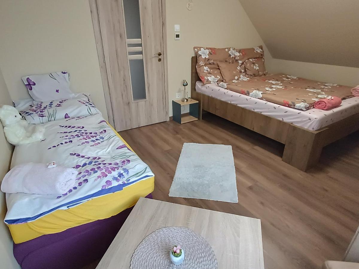 Hotel Holt-Tisza Vendeghaz Szeged Esterno foto