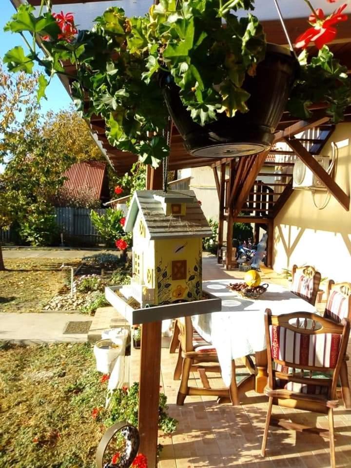 Hotel Holt-Tisza Vendeghaz Szeged Esterno foto