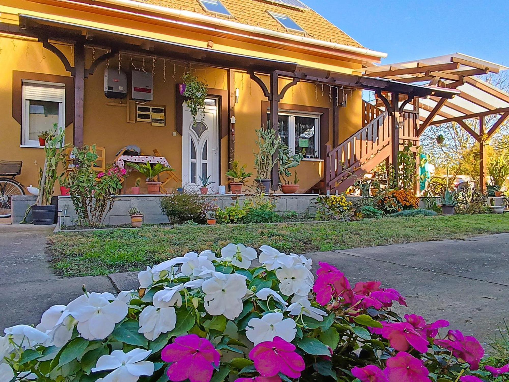 Hotel Holt-Tisza Vendeghaz Szeged Esterno foto