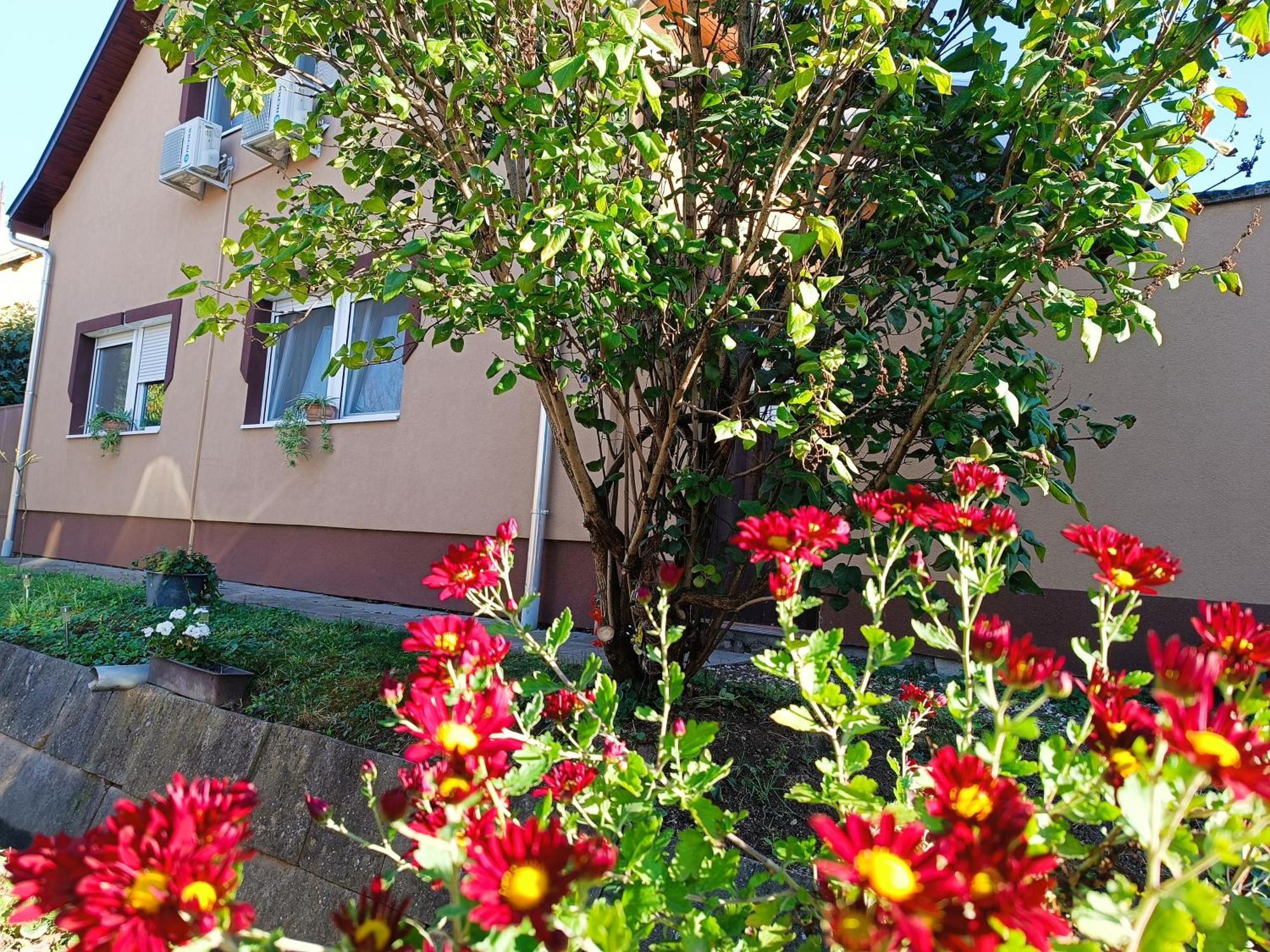 Hotel Holt-Tisza Vendeghaz Szeged Esterno foto